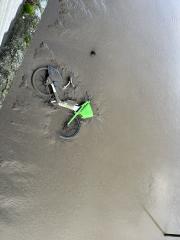 Guess this Lime bike didn't get returned